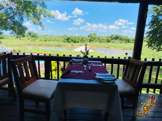 Sabie River Bush Lodge - 271793