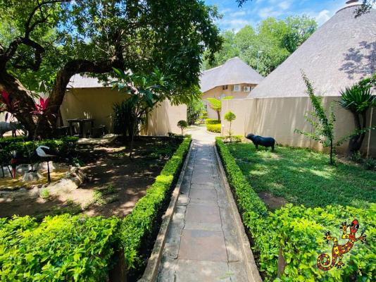 Sabie River Bush Lodge - 271794