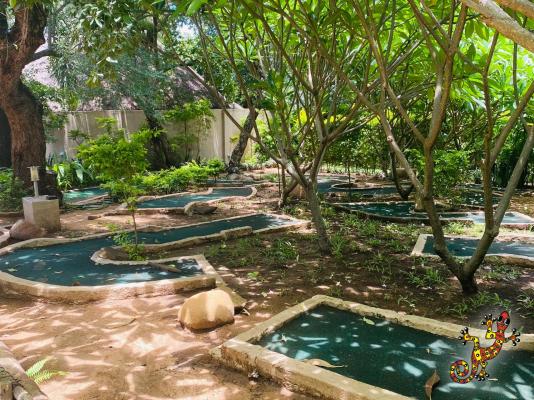 Sabie River Bush Lodge - 271795