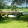 Sabie River Bush Lodge - 271796