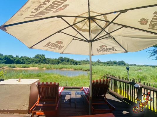 Sabie River Bush Lodge - 271799