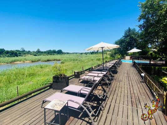 Sabie River Bush Lodge - 271802