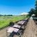 Sabie River Bush Lodge - 271802