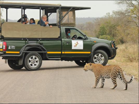 Sabie River Bush Lodge - 271806