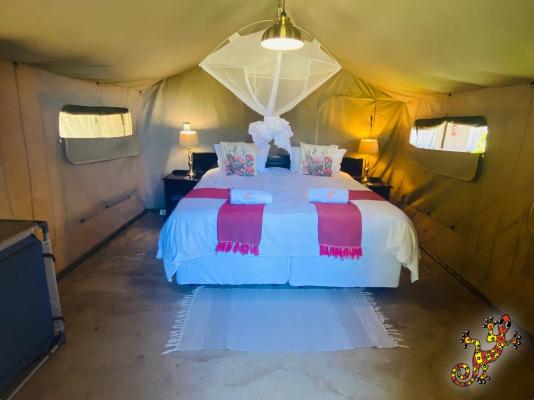 Sabie River Bush Lodge - 271809