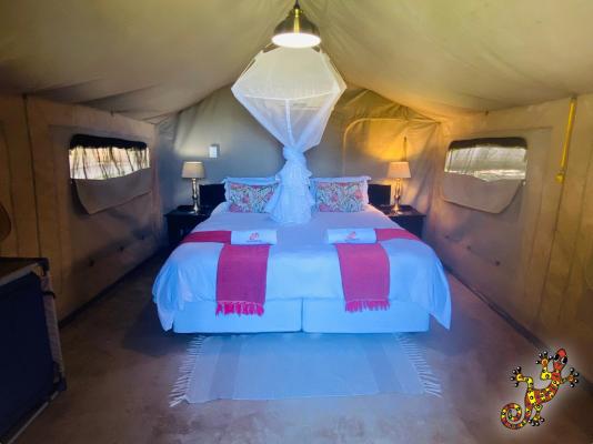 Sabie River Bush Lodge - 271811