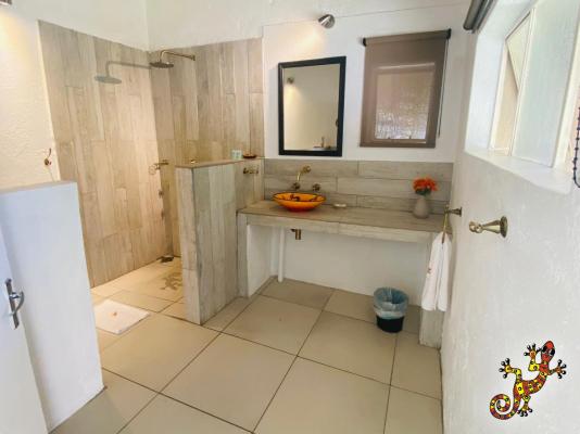Sabie River Bush Lodge - 271812