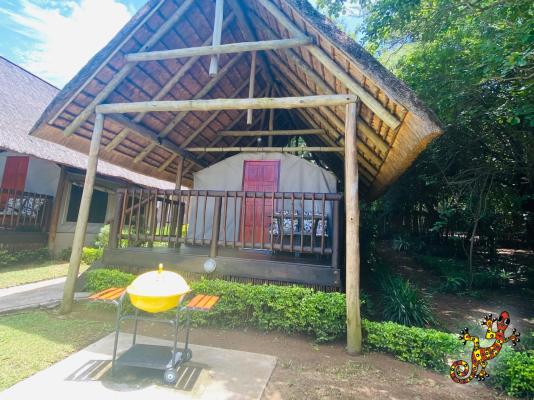 Sabie River Bush Lodge - 271815