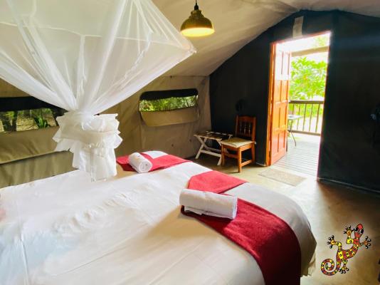 Sabie River Bush Lodge - 271816