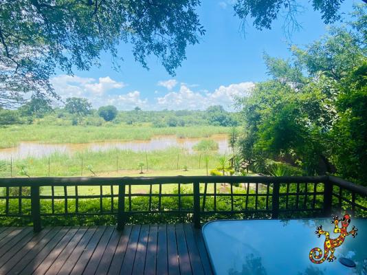 Sabie River Bush Lodge - 271835