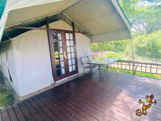 Sabie River Bush Lodge - 271838