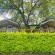 Sabie River Bush Lodge - 271839