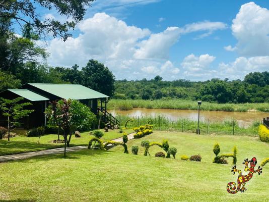Sabie River Bush Lodge - 271840