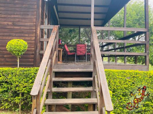 Sabie River Bush Lodge - 271843