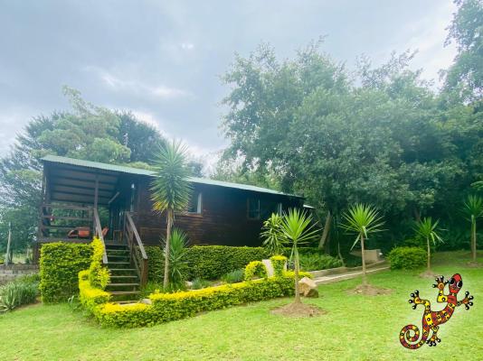 Sabie River Bush Lodge - 271846