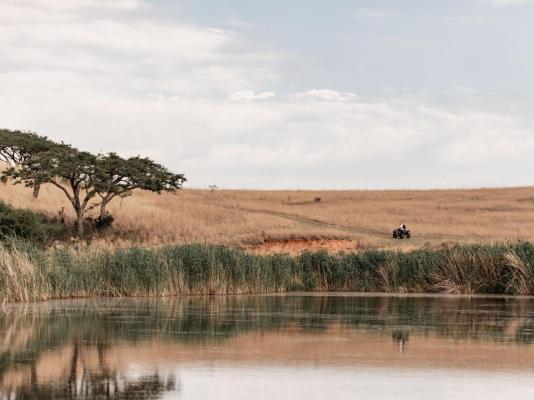 Dawsons Game Lodge - 271889