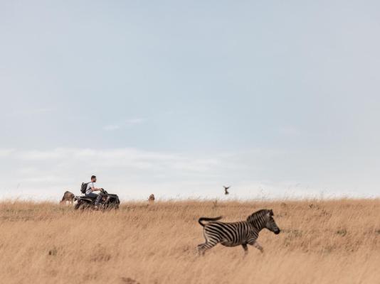 Dawsons Game Lodge - 271892