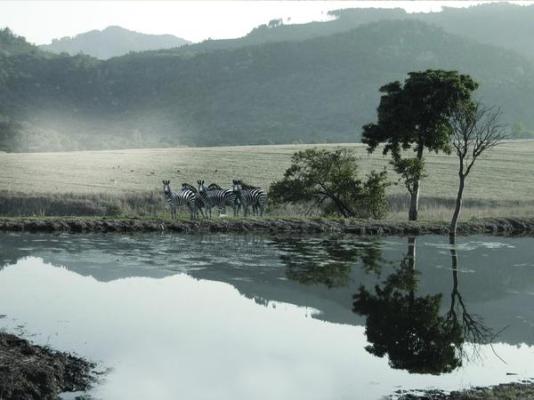 Dawsons Game Lodge - 271898