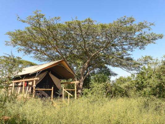 Zululand Lodge - 271955