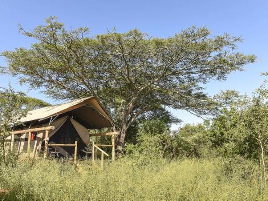 Zululand Lodge - 271956