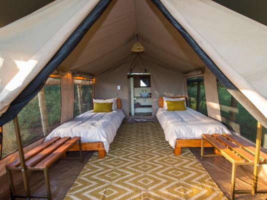 Zululand Lodge - 271959