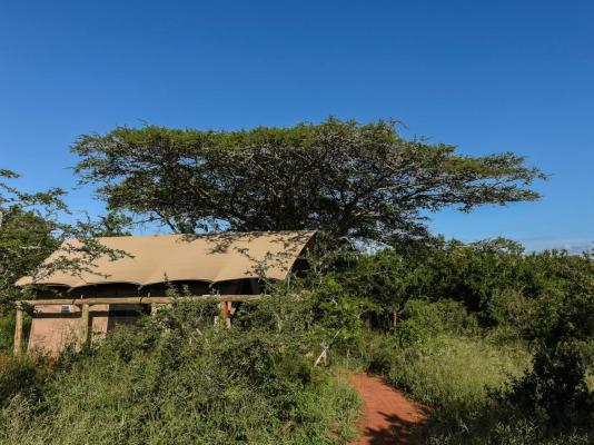 Zululand Lodge - 271961