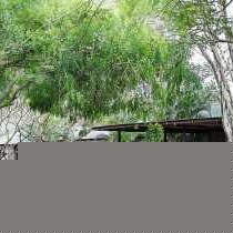 Emdoneni Lodge with Zululand Cat Conservation - 271963