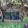Emdoneni Lodge with Zululand Cat Conservation - 271990