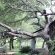 Emdoneni Lodge with Zululand Cat Conservation - 272005