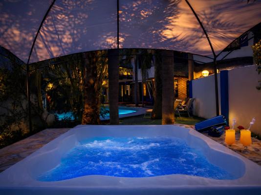 The Villa Manor & Spa - 272041