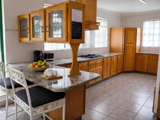 The Villa Manor & Spa - 272081