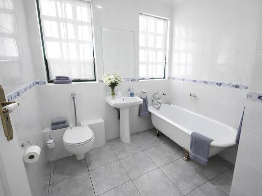 The Villa Manor & Spa - 272085