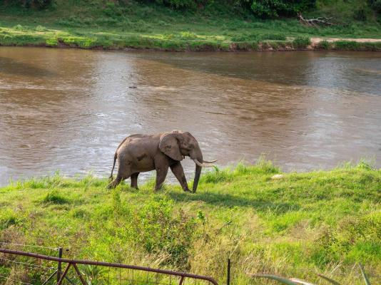 River House Lodge - 272103