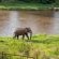 River House Lodge - 272103