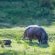 River House Lodge - 272104