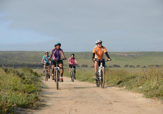Langebaan Country Estate - 272347