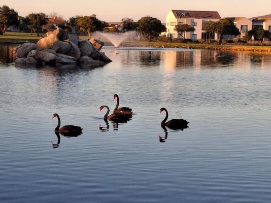 Langebaan Country Estate - 272367