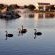 Langebaan Country Estate - 272367