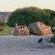 Langebaan Country Estate - 272369