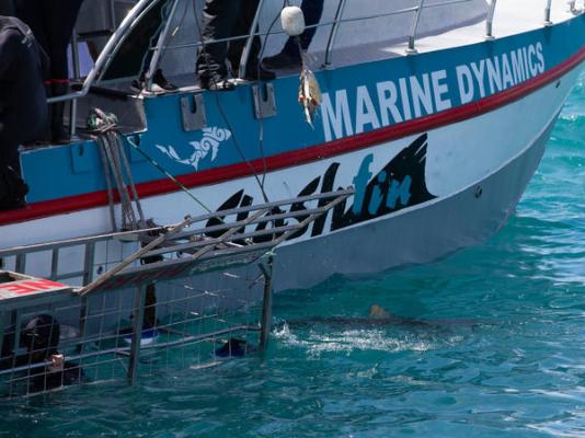 Aire del Mar Guest House - 272416