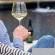 Plaisir Wine Estate - Pool view