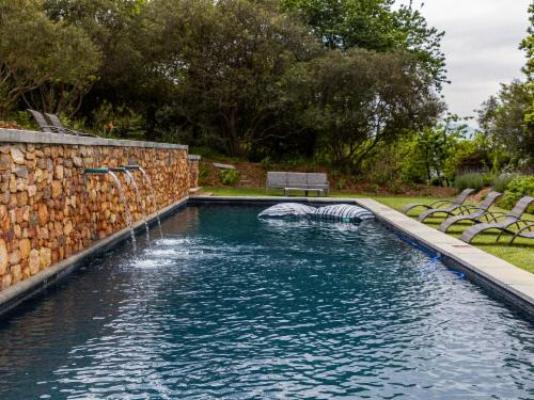 Plaisir Wine Estate - Swimming pool