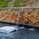 Plaisir Wine Estate - Swimming pool