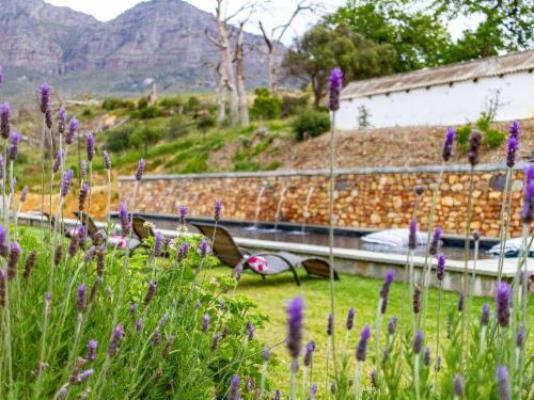 Plaisir Wine Estate - Garden
