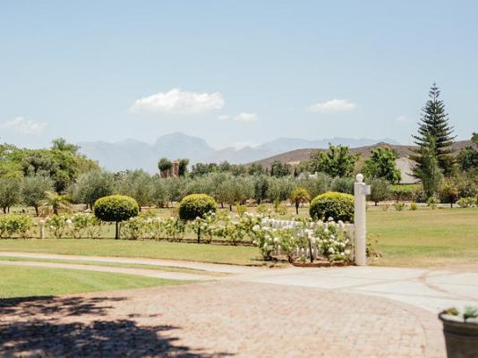 Damas - 272677