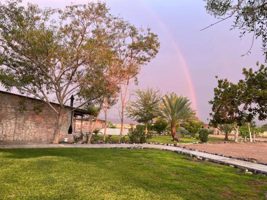 Little Sossus Lodge - 272726