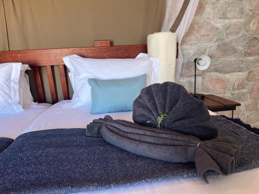 Little Sossus Lodge - 272757