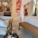 Little Sossus Lodge - 272770