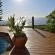 Artists Cottages Gordon's Bay - 272913