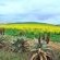Renosterveld Eco Pods - Neighbourhood